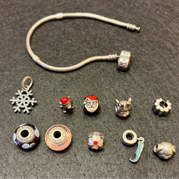 PANDORA 925 STERLING SILVER BRACELET 7" W/(10) PANDORA 925 MIXED CHARMS RETIRED - Picture 3 of 16